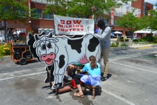 Cow Milking Contest Rental